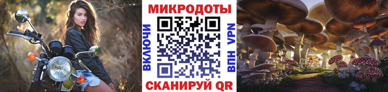 Галлюциногенные грибы Psilocybe  Рудня 